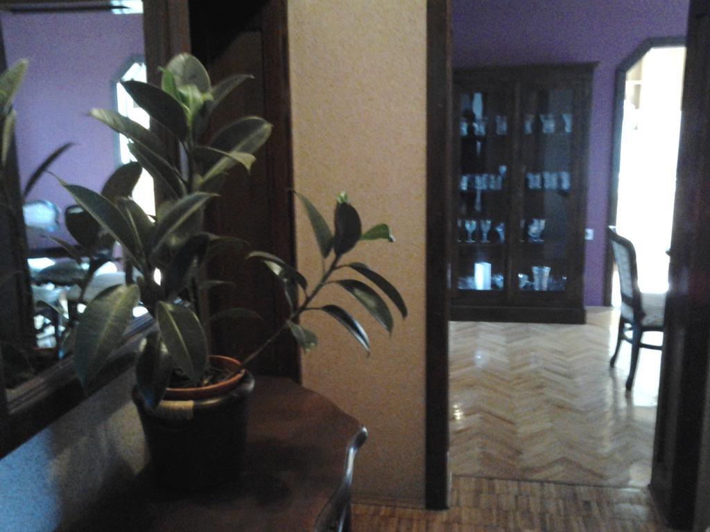 Apartments Jurasic Ogulin Esterno foto